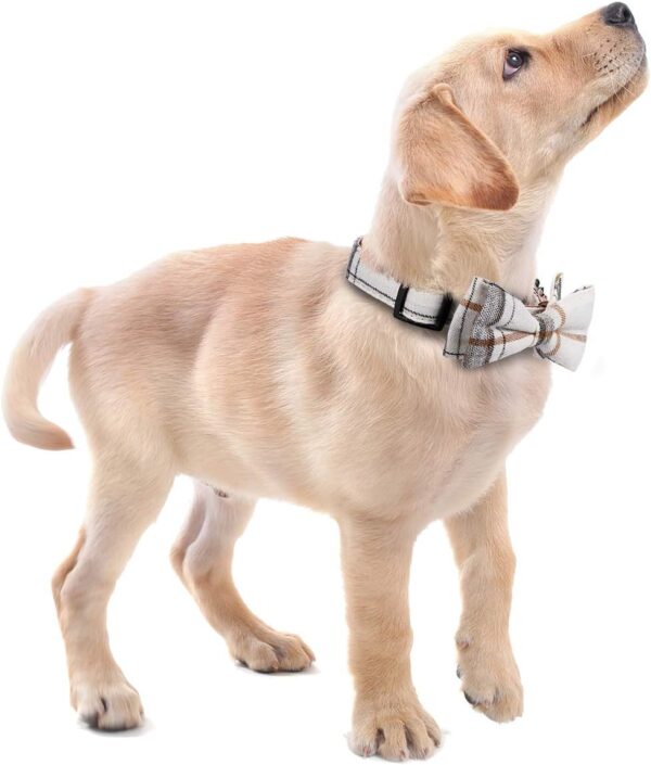 Soft &Comfy Bowtie Dog Collar,Detachable and Adjustable Bow Tie Collar,for Small Medium Large Pet (S, Beige) - Image 6