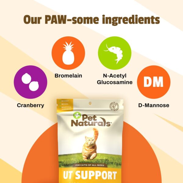 Pet Naturals UT Support Urinary Tract Supplement for Cats, 60 Chews - Image 3