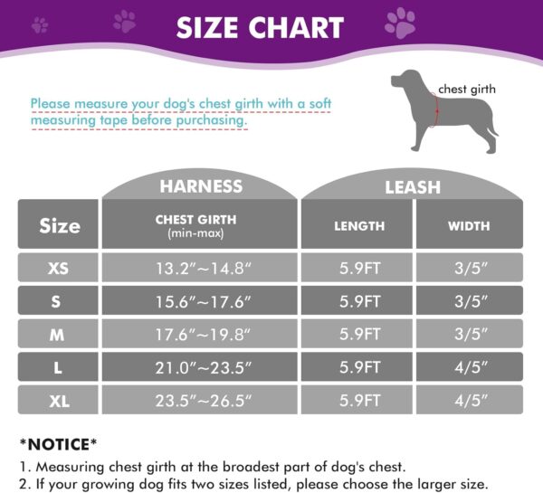 BEYFIRG_ Dog Harness and Leash Set for Small and Medium Sized Dogs, Lightweight & Soft Puppy Harness, Adjustable and Reflective Harness Set for Training, Walking (S, Purple) - Image 5