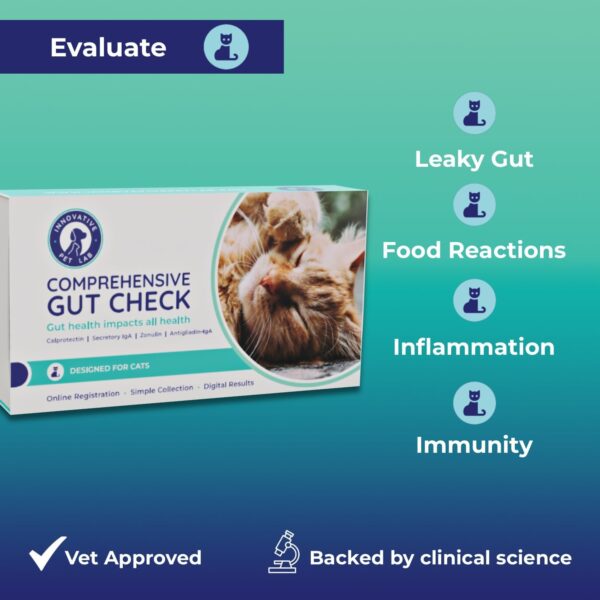 Cat Gut Health Test Kit - Comprehensive At-Home Digestive Evaluation for Cats - Fast Digital Results, Expert Panel Insights - Image 2