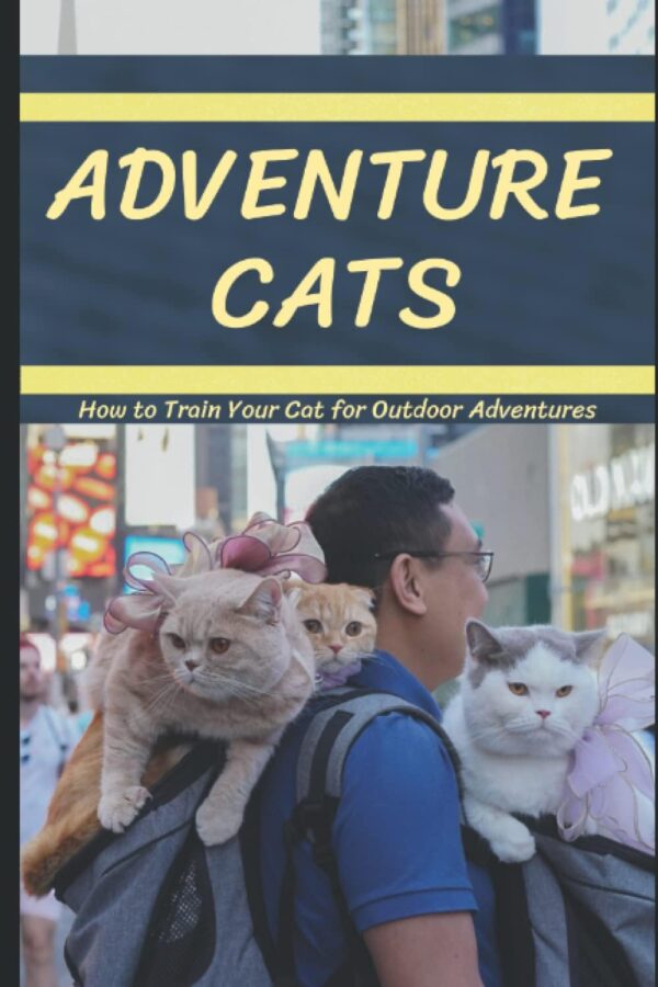 Adventure Cats: How to Train Your Cat for Outdoor Adventures