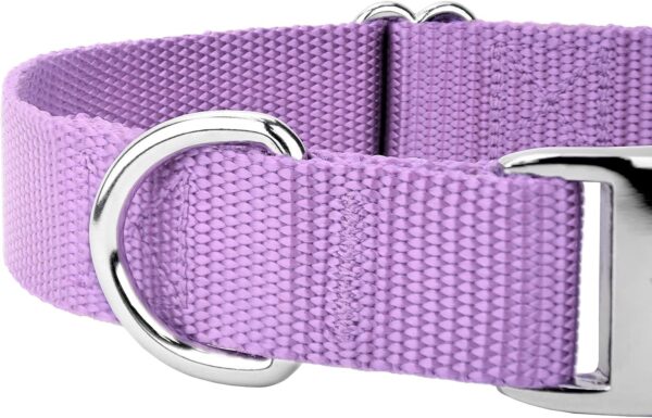 Country Brook Petz Premium Nylon Dog Collar with Metal Buckle for Small Medium Large Breeds - Vibrant 30+ Color Selection (Large, 1 Inch, Lavender) - Image 9