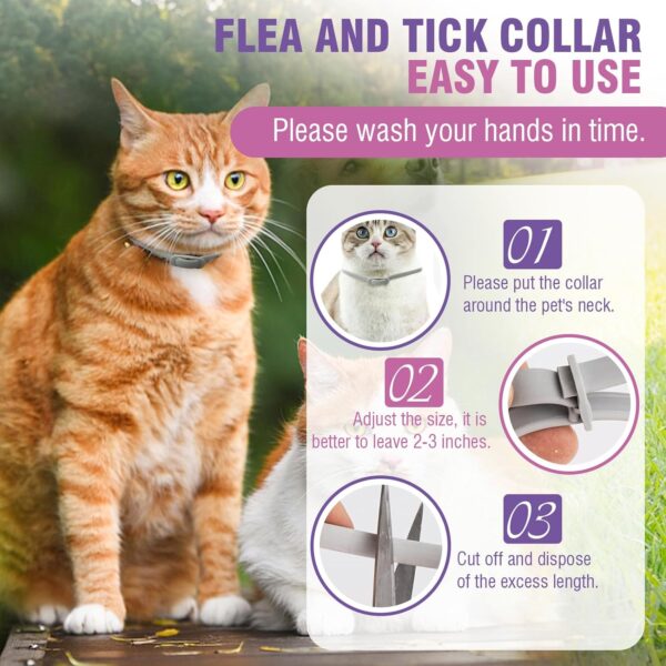 Flea Collar for Cats 4 Pack Cat Flea Collar 8 Months Long-Term Protection Natural Cat Flea and Tick Collar Waterproof Kitten Flea Collar Suitable for all Cats Flea and Tick Collar for Cats Flea Collar - Image 6