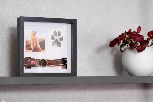 Memorial Picture Frame for Pets - Remembrance for Dogs & Cats - Shadow Box with Collar - Keepsake Tribute for Sympathy - Image 3