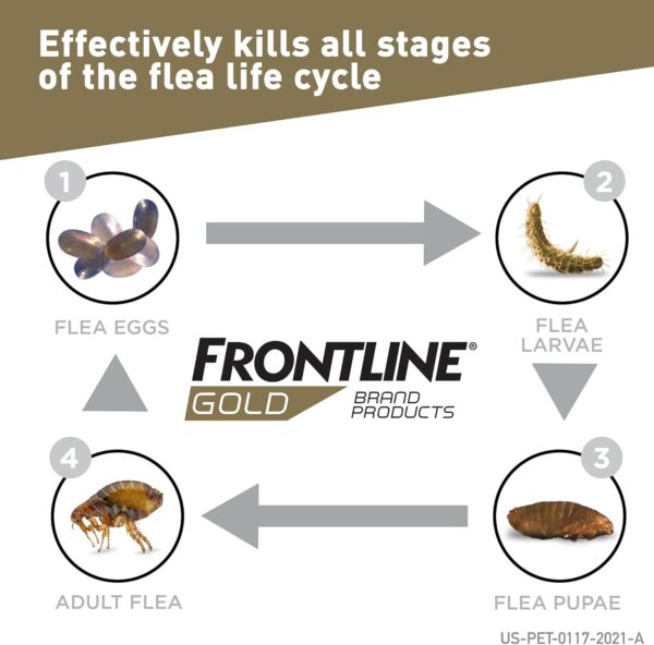 FRONTLINE Gold Flea & Tick Treatment for Large Dogs Up to 45 to 88 lbs., Pack of 3 - Image 3