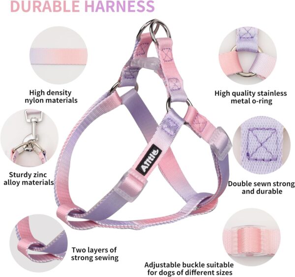 AIITLE Step-in Dog Harness and Leash Set - No Pull Pet Adjustable Halter Harness with A 5FT Leash - Double D ring,Easy Fit - Easy Walk Running Training for Large Breed Dogs,Pink-Purple Gradient L - Image 6