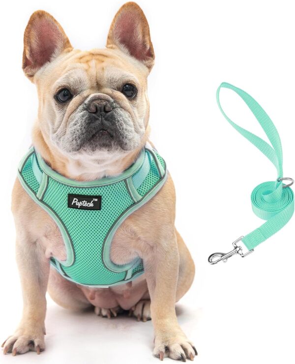 PUPTECK Dog Harness and Leash Set for Small Medium Dogs No Pull, Soft Mesh Adjustable Puppy Cat Harness Reflective at Night, Green M