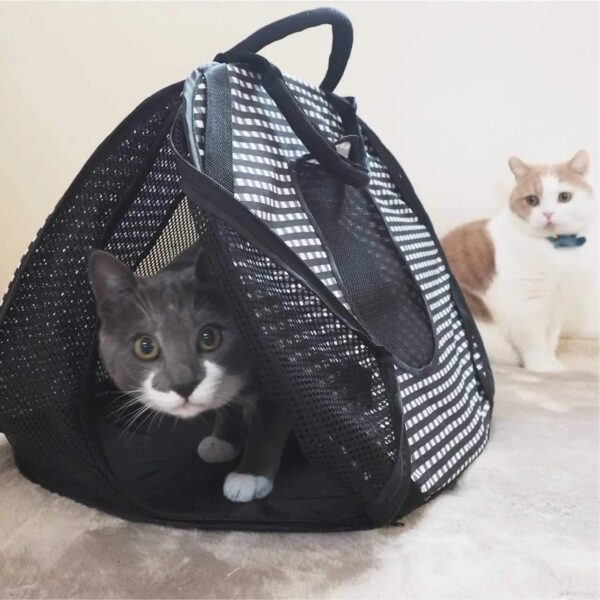 Necoichi Stress-Free Cat Travel Carrier Collapsible Gray White for 2 cats, for indoor cats small medium large cats(Black) - Image 3