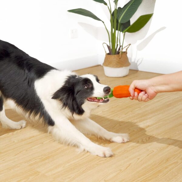 MewaJump Dog Squeaky Chew Toys for Aggressive Chewers, Rubber Carrot Dog Toys for Training and Cleaning, Interactive Tough Dog Toy for Medium Dogs - Image 4