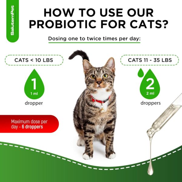 Cat Probiotic | Liquid Cat Probiotics for Indoor Cats | Cat Digestive Support | Probiotics for Cats Supplements | Natural Prebiotic for Cats | Liquid Probiotic for Cats | 2 Oz - Image 5