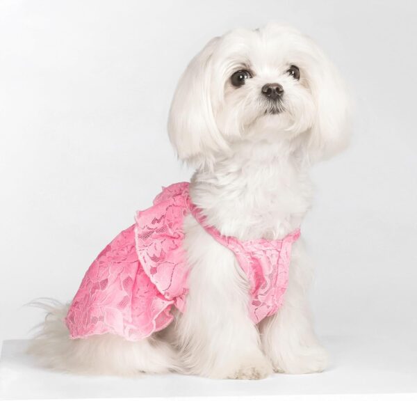 Fitwarm Lace Boho Dog Dress, Doggy Hawaiian Dress for Small Dogs Girl, Bohemian Doggie Summer Clothes, Pet Apparel, Pink, Small - Image 2