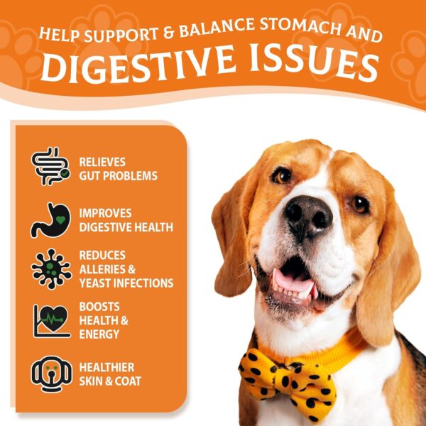 Probiotics for Dogs - Probiotic Powder for Dogs, Dog Probiotics for Immune and Digestive Health -120 Scoops Liver Flavored Probiotic supplement - Image 2