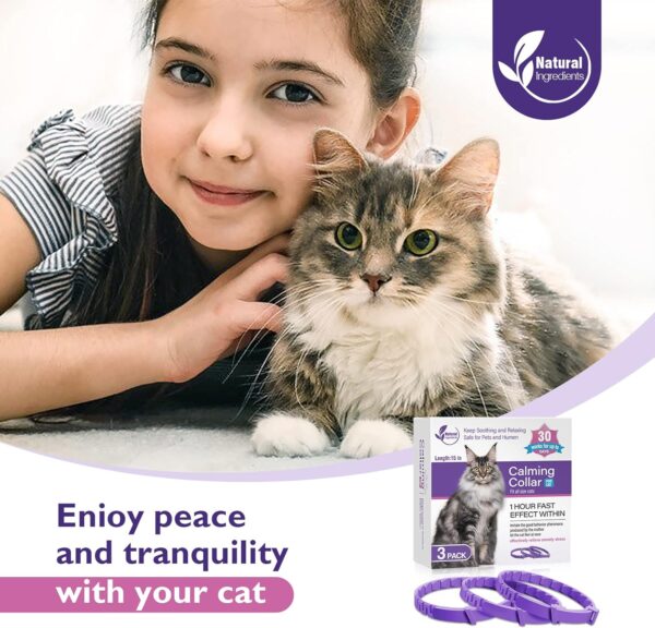 3 Pack Calming Collar Efficient Relieve Reduce Anxiety Stress Pheromones Calm Relaxing Comfortable Breakaway Collars Adjustable for Small, Medium Large Cat, Kittens - Image 7