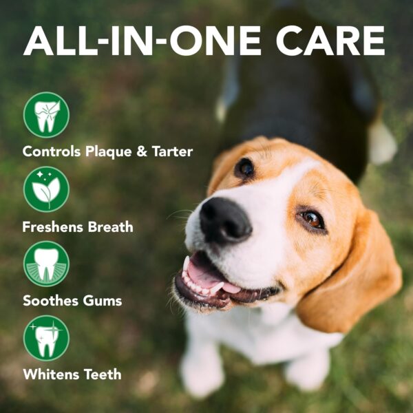 Vet's Best Dog Toothbrush & Toothpaste Kit - Natural Ingredients Reduce Plaque, Whiten Teeth, Freshen Breath - Image 2