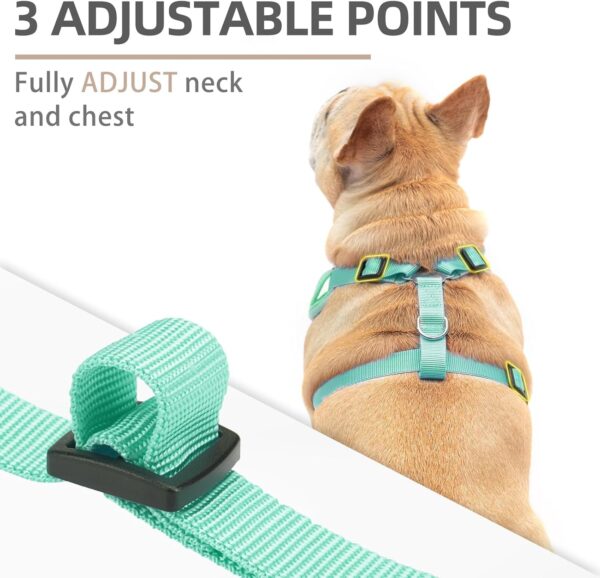 PUPTECK Dog Harness and Leash Set for Small Medium Dogs No Pull, Soft Mesh Adjustable Puppy Cat Harness Reflective at Night, Green M - Image 3