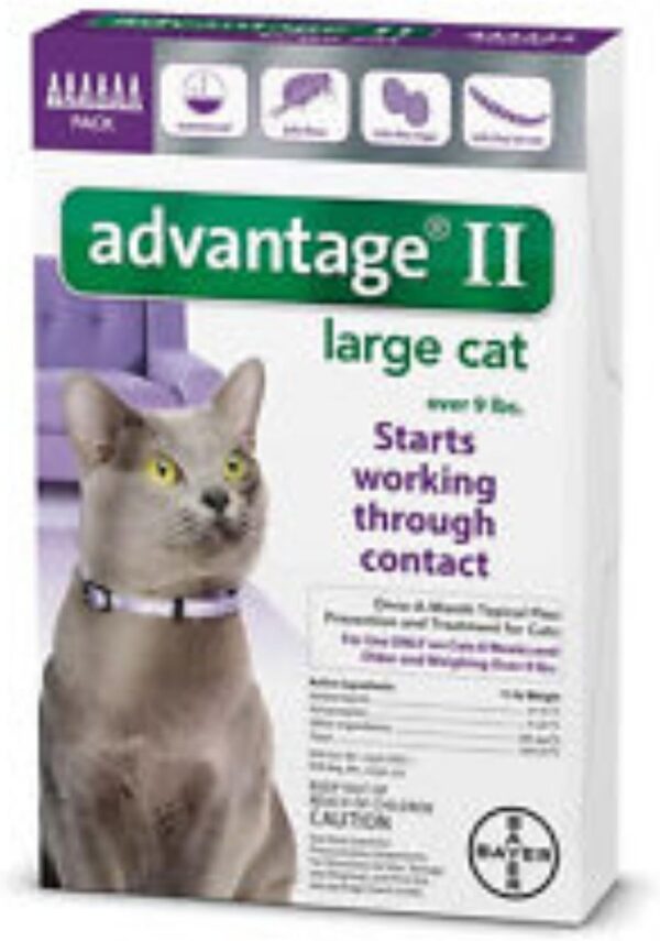 Advantage Flea Control for Cats and Kittens Over 9 lbs 6 Month Supply