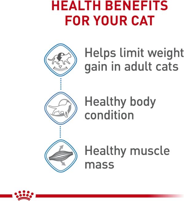 Royal Canin Feline Weight Care Adult Dry Cat Food, 6 lb bag - Image 4