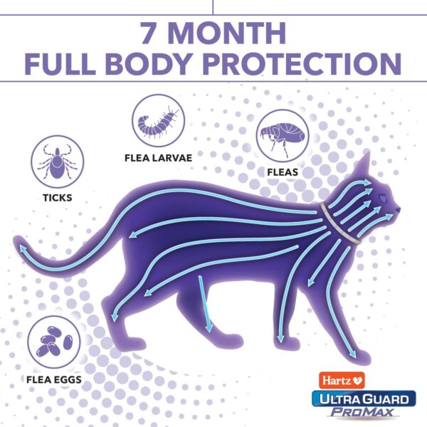 Hartz UltraGuard ProMax Flea & Tick Collar for Cats I 14 Months Protection I Soft & Comfortable | Flea & Tick Prevention I 2 Pack - Image 3