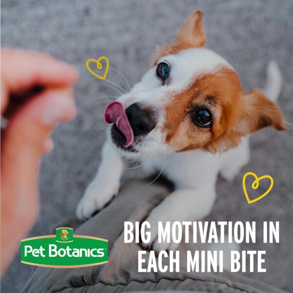 Pet Botanics 4 oz. Pouch Training Rewards Puppy Bites Soft & Chewy, Peanut Butter Flavor, with 200 Treats Per Bag, The Choice of Top Trainers - Image 7