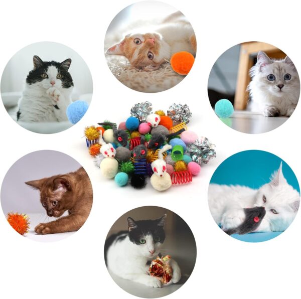 60 Packs Cat Toys Balls Set Spiral Springs Assorted, Kitten Ball Toys Assortments, Sparkle Ball, Cat Mouse Toy, Cat Crinkle Balls, Cat Springs, Furry Cat Toys Balls Soft Pom Pom Balls - Image 5