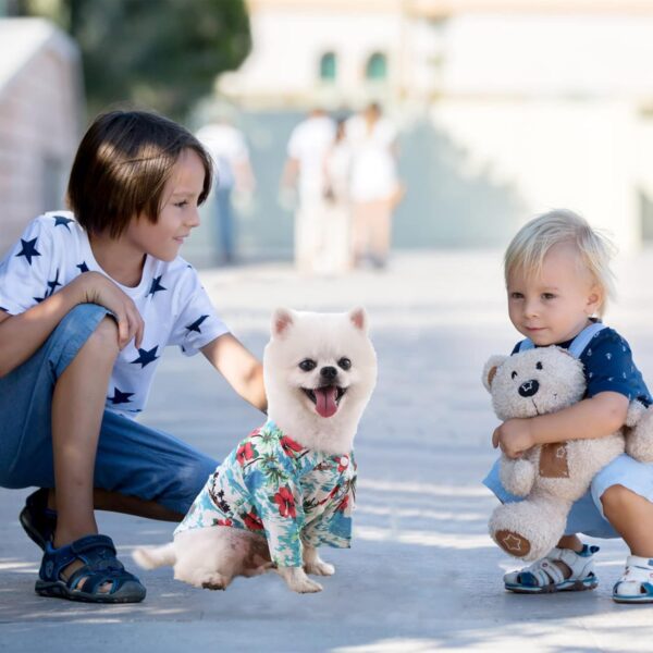 4 Pieces Pet Summer Shirts Hawaiian Style Dog T-Shirts Floral Coconut Tree Printed Puppy Shirt Summer Beach Dog Apparel Cat Outfit Shirt Breathable Pet Cool Clothes for Small to Medium Pets (X-Large) - Image 5