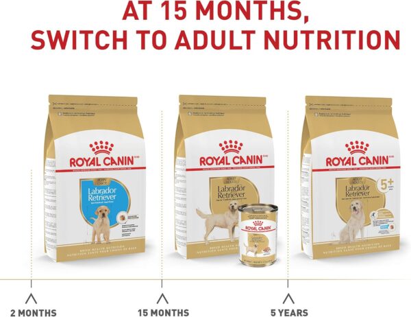 Royal Canin Labrador Retriever Adult Dry Dog Food, 30 lb bag - Image 6