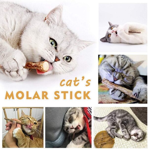 Silvervine Sticks for Cats, Natural Catnip Sticks Matatabi Chew Sticks Teeth Molar Chew Toys for Cat Kitten Kitty (at Least 12 PCS) - Image 4