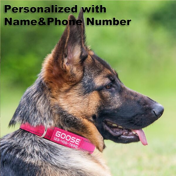 Personalized Dog Collars Custom with Pet Name and Phone Number, Soft Neoprene Padded Reflective Nylon Collar, 4 Adjustable Sizes - for Boy, Girl Dogs - Image 2