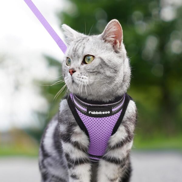 rabbitgoo Cat Harness and Leash Set for Walking Escape Proof, Adjustable Soft Kittens Vest with Reflective Strip for Cats, Comfortable Outdoor Vest, Light Purple, S - Image 9