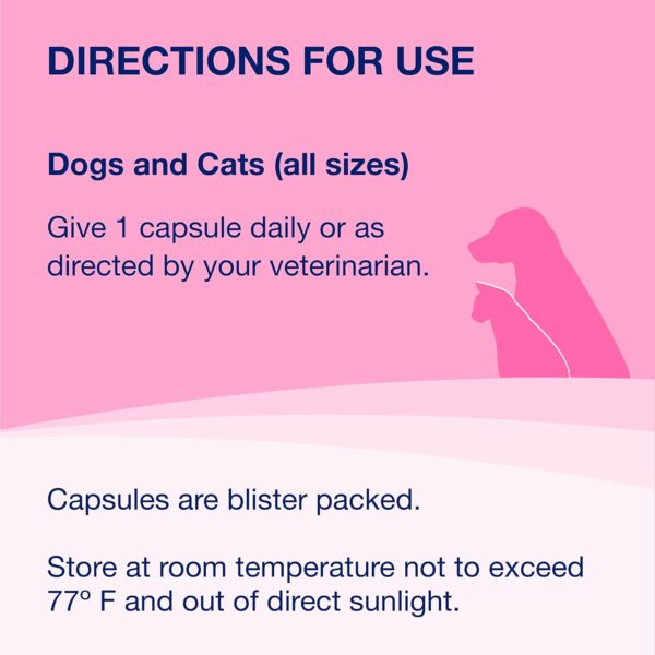 Proviable Digestive Health Supplement Multi-Strain Probiotics and Prebiotics for Cats and Dogs - With 7 Strains of Bacteria, 30 Capsules - Image 6