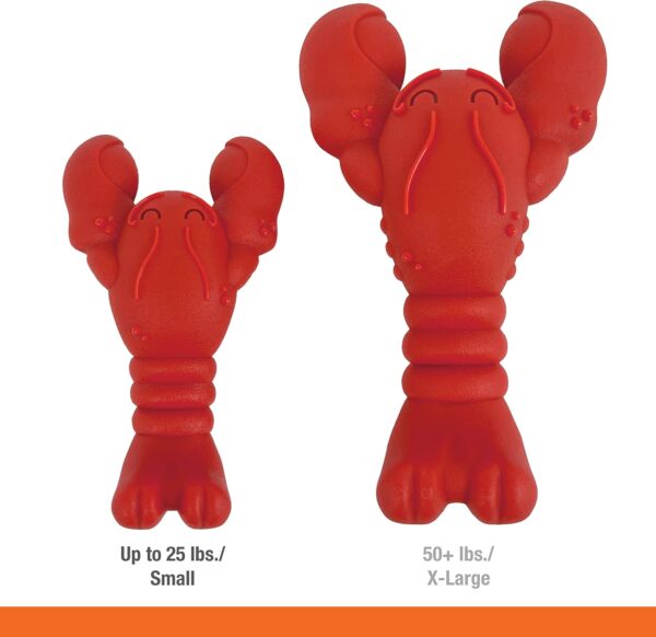 NYLABONE Lobster Dog Toy Power Chew – Cute Dog Toys for Aggressive Chewers – with a Funny Twist! Filet Mignon Flavor, Small/Regular - Image 6