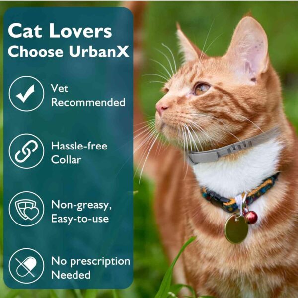 UrbanX Advanced Natural Ingredients -Collar for Cats - Rapid-Action, Long-Lasting Protection, Vet-Recommended -2 Pack - Image 4