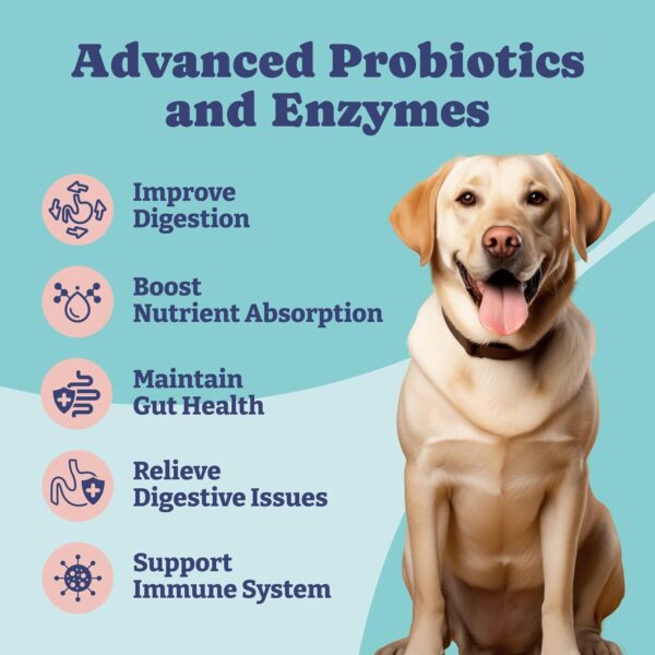 Probiotics for Dogs, Dog Probiotics and Digestive Enzymes, Pre & Probiotics over 1 Billion CFUs, for Gut Health and Digestive Health, Itchy Skin Relief, Immune Support, 60 Soft Chews - Image 2