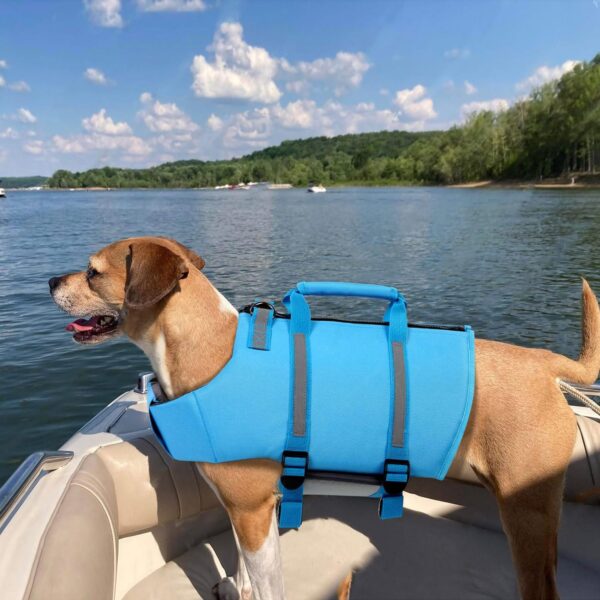 Queenmore Dog Life Jacket, XXL Dog Life Vest,High Floating Pet Life Vest for Swimming,Lightweight Adjustable Puppy Life Preserver for Boating,Dog Water Vest with Back Zip,Rescue Handle,Hook (Blue XXL) - Image 7