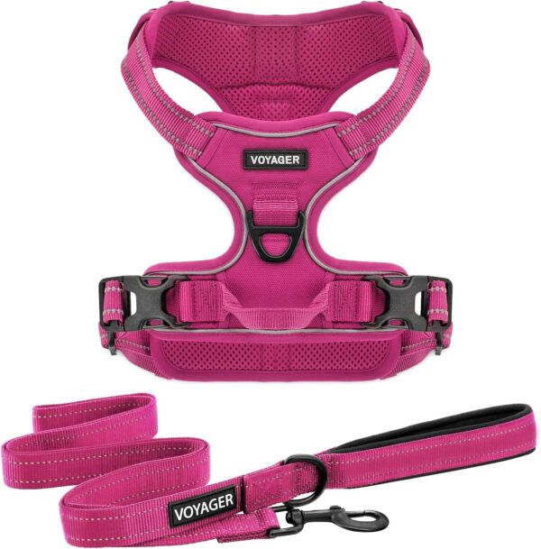 Voyager Dog Harness Dual Leash Attachment No-Pull Control Adjustable Soft but Strong Pet Harness for Medium and Large Dogs with 3M Reflective Technology - Harness Leash Set (Fuchsia), S