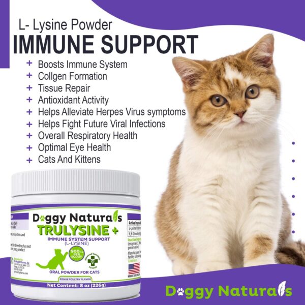 Trulysine Plus L-Lysine for Cats Immune Support Oral Powder 8oz/226g - Cats & Kittens of All Age, Sneezing, Runny Nose Squinting, Watery Eyes-Fish & Poultry Flavor (U.S.A)(225 Grams (900mg / Scoop)) - Image 5