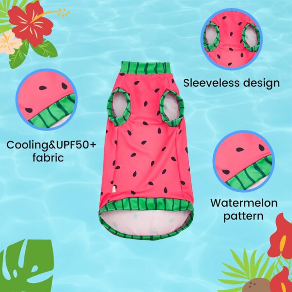 Sphynx Cat Watermelon Shirt &Sun Hat for Summer, Cooling Breathable UPF 50+ Shirt for Cats & Small Dogs Apparel, Shirt and Hat Set for Cats (L (5.5-8lbs)) - Image 2