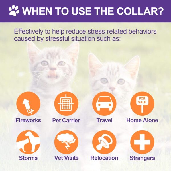 4 Pcs Calming Cats Collar Adjustable Cat Calm Collar Lavender Scent Relaxing Cat Collar with 2 Pendant for Puppies Cats Reduce Stress Aggression Anxious, up to 15 Inches (Purple, Gold) - Image 4