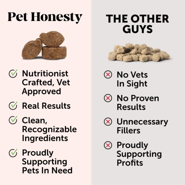 Pet Honesty Allergy Skin Health - Allergy Itch Relief, Fish Oil for Dogs, Probiotics for Healthy Skin, Shiny Coats, Helps Reduce Normal Shedding, Soft Chews for Healthy Skin & Coat - 90 Ct (Salmon) - Image 5