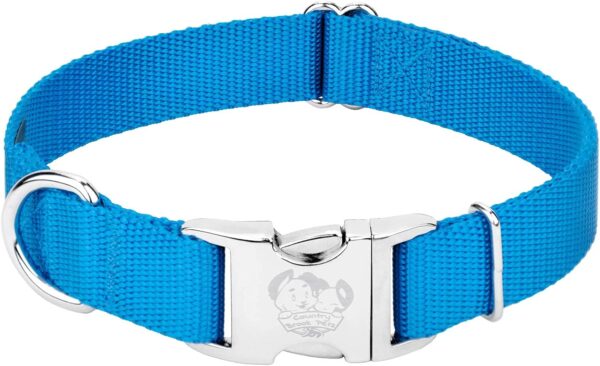 Country Brook Petz Premium Nylon Dog Collar with Metal Buckle for Small Medium Large Breeds - Vibrant 30+ Color Selection (Large, 1 Inch, Ice Blue) - Image 6