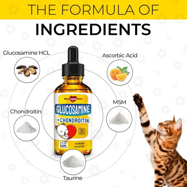 Glucosamine for Cats ✿ Cat Joint Supplement ✿ Cat Glucosamine ✿ Joint Supplement for Cats ✿ Glucosamine for Cats Liquid ✿ Glucosamine Chondroitin for Cats ✿ Chicken Flavor ✿ 2 Oz - Image 3