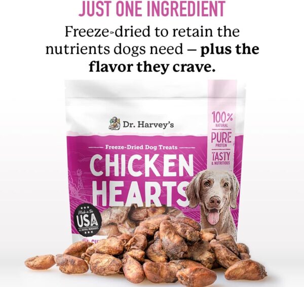 Dr. Harvey's Chicken Hearts Freeze Dried Training Dog Treats with Real Chicken Hearts for Dogs, 7 Ounces - Image 2