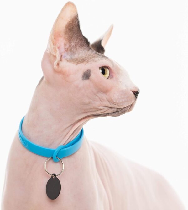 Comfortable, Soft and Light Cat Collar with Breakaway Snap Button (Blueberry Blue) - Image 4