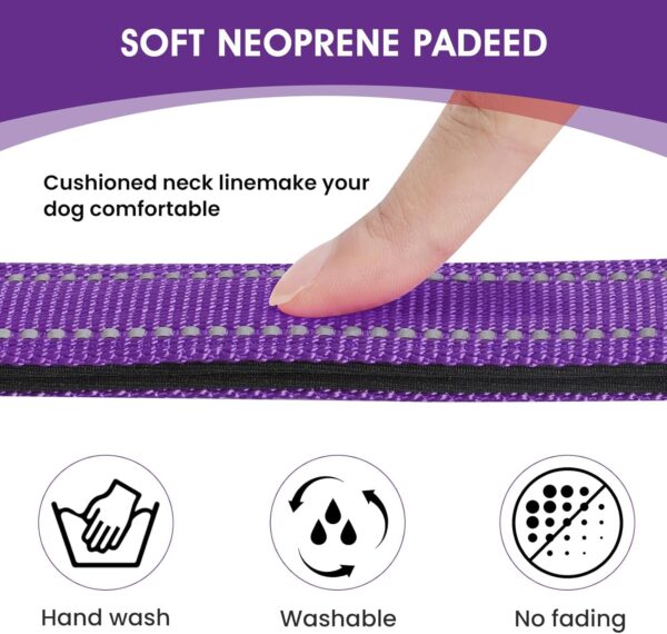 Reflective Dog Collar Padded with Soft Neoprene Breathable Quick Release Basic Dog Collars for Medium Dogs Purple Girl - Image 3