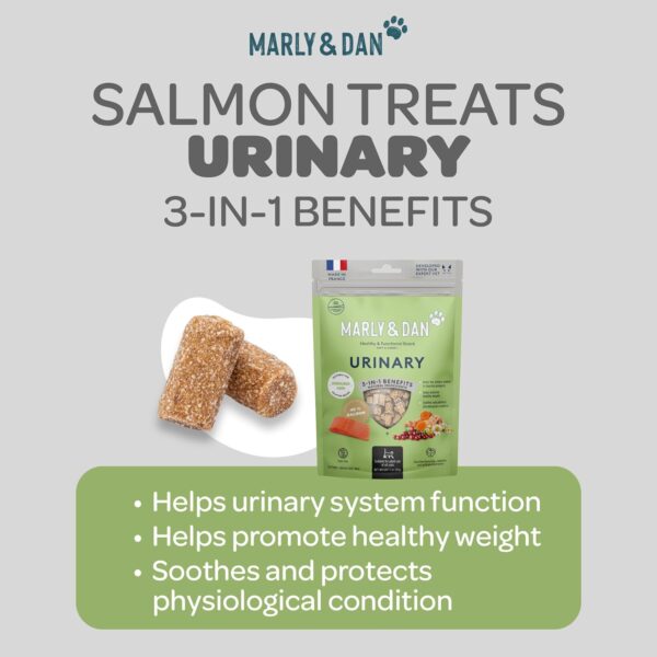 Marly & Dan Salmon Treats for Cats with Brewers Yeast & Green Tea, Urinary Recipe - Image 3