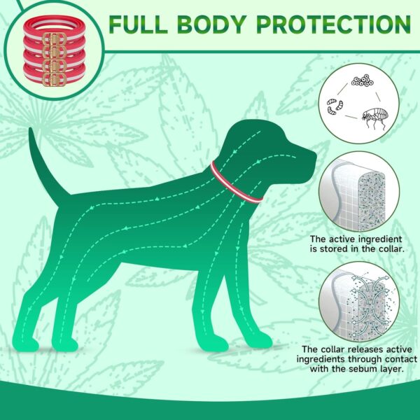 4 Pack Flea Collar for Dogs, Adjustable Flea and Tick Collar for Dogs, 32-Month Flea and Tick Prevention for Dogs, Dog Flea and Tick Collar, Water-Resistant Dog Flea Collars, Red & White - Image 3