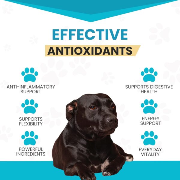 Wanderfound Pets 10-in-1 Dog Multivitamin, Chewable Dog Vitamins with Glucosamine, D3, and MSM, Dog Health Supplies for Immune System and Joint Health, Liver Flavor, 60 Tablets - Image 3