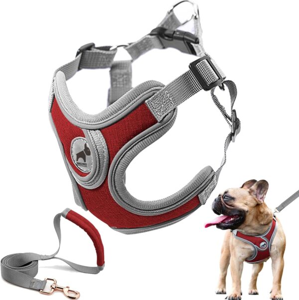 Dog Harness with Leash Set, No Pull Adjustable Step in Dog Collars Harness with Breathable Padded Vest Harness for Small Medium Large Dogs Training and Running(L, Red)