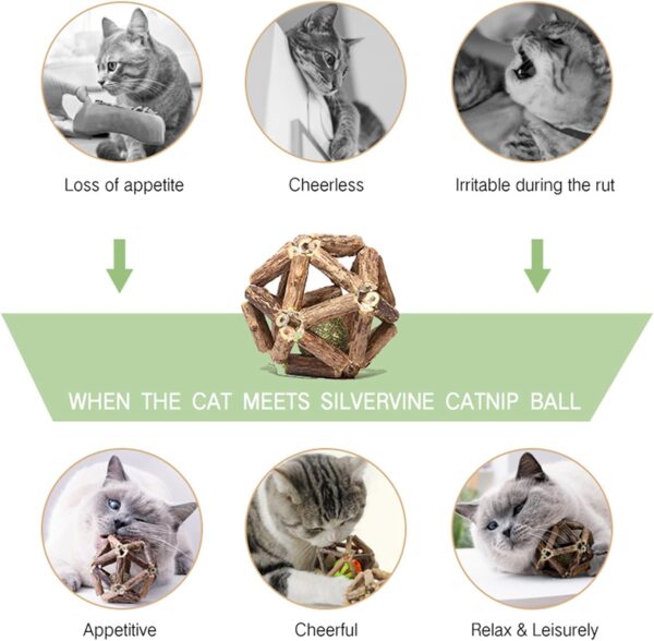 Catnip Toys-2Pcs Natural Silvervine Stick Catnip Ball&Bell Ball-Cat Toys for Indoor Cats- Cleaning Teeth Molar Tools Matatabi Cat Chew Toy-Kitten Toys - Image 3