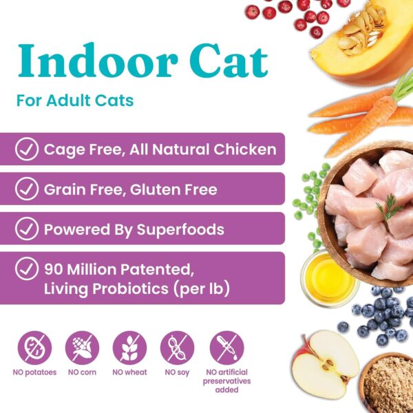 Solid Gold Indoor Dry Cat Food - Let's Stay in Cat Food Dry Kibble for Indoor Cats - Hairball & Sensitive Stomach - Grain & Gluten Free - Probiotics & Fiber for Digestive Health - Chicken - 6lb - Image 2